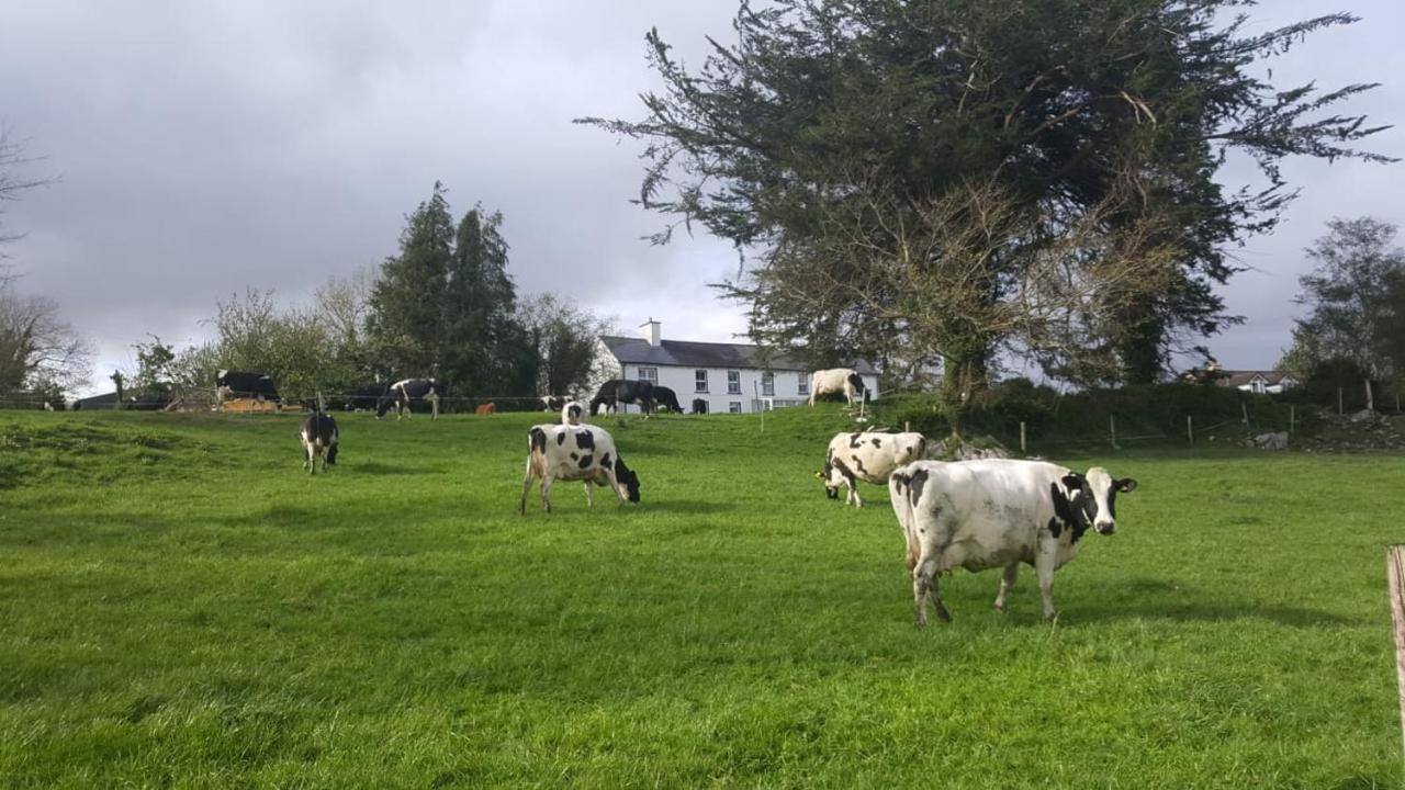 Gortamullen House, Kenmare Bed and Breakfast Eksteriør billede